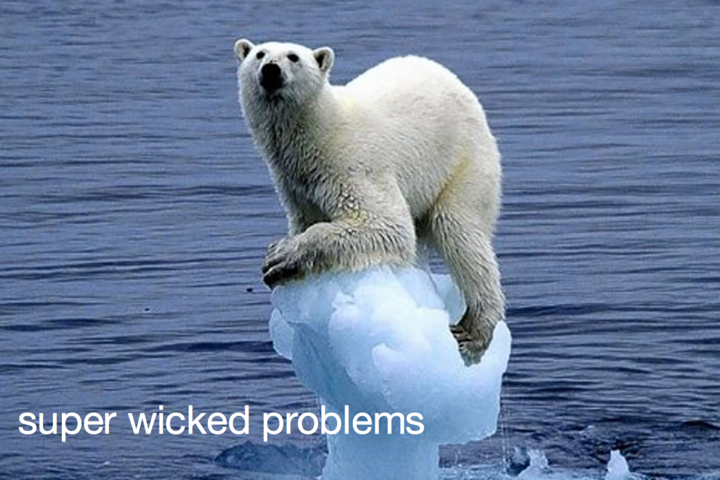 super wicked problem polar bear